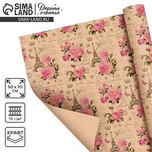 700-nw.jpg?v=1729026795