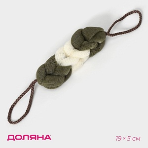 700-nw.jpg?v=1731674059