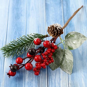 700-nw.jpg?v=1597765773