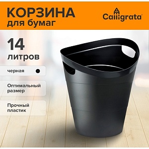 700-nw.jpg?v=1719552675