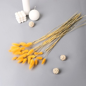 700-nw.jpg?v=1734069097