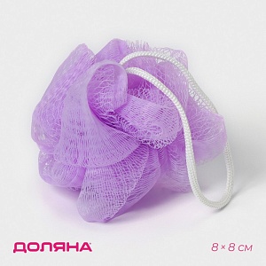 700-nw.jpg?v=1733294072