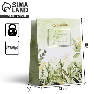 700-nw.jpg?v=1728993576